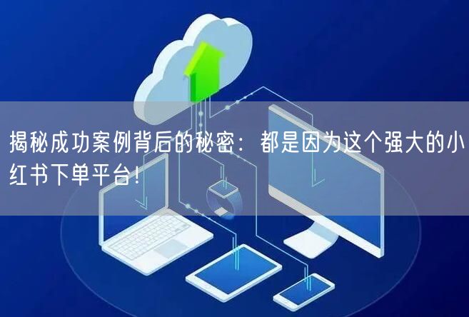 揭秘成功案例背后的秘密：都是因为这个强大的小红书下单平台！