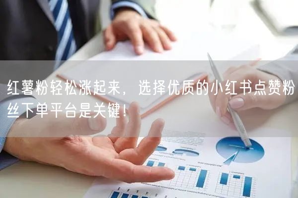 红薯粉轻松涨起来，选择优质的小红书点赞粉丝下单平台是关键！