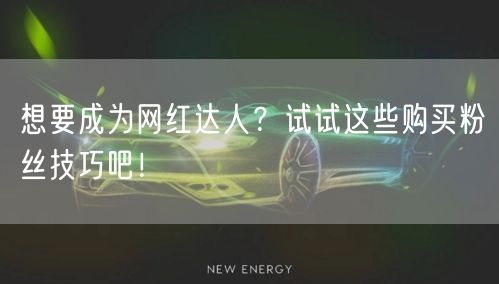 想要成为网红达人？试试这些购买粉丝技巧吧！