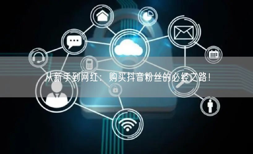 从新手到网红：购买抖音粉丝的必经之路！