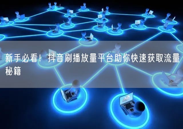 新手必看！抖音刷播放量平台助你快速获取流量秘籍