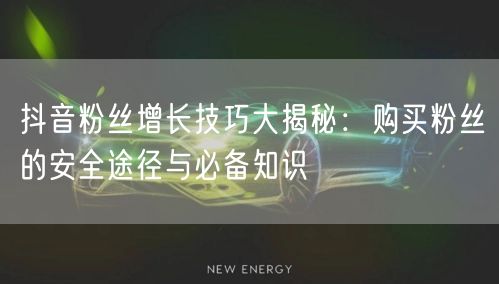 抖音粉丝增长技巧大揭秘:购买粉丝的安全途径与必备知识