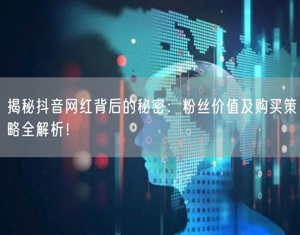 揭秘抖音网红背后的秘密:粉丝价值及购买策略全解析!
