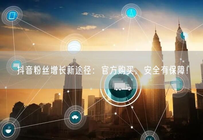 抖音粉丝增长新途径：官方购买，安全有保障！