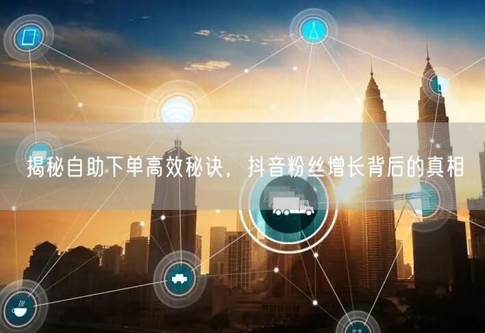 揭秘自助下单高效秘诀，抖音粉丝增长背后的真相