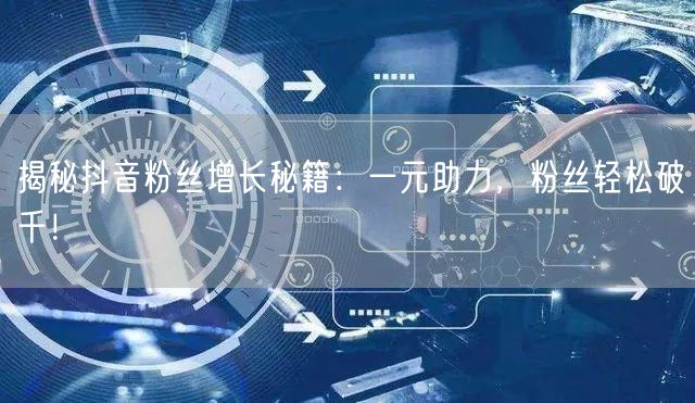 揭秘抖音粉丝增长秘籍：一元助力，粉丝轻松破千！