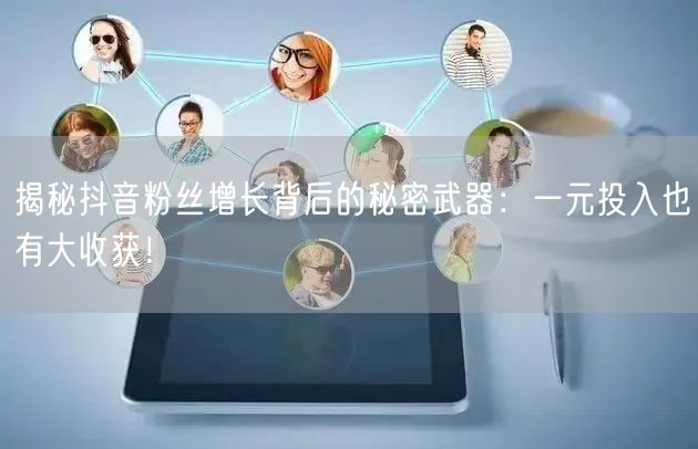 揭秘抖音粉丝增长背后的秘密武器：一元投入也有大收获！