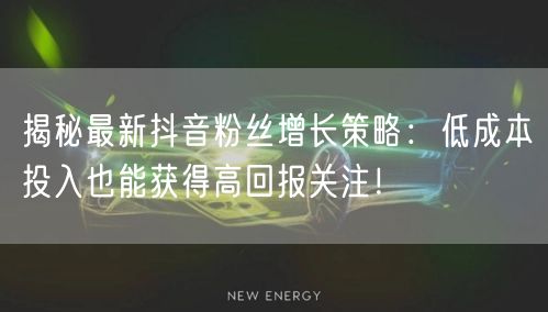 揭秘最新抖音粉丝增长策略：低成本投入也能获得高回报关注！