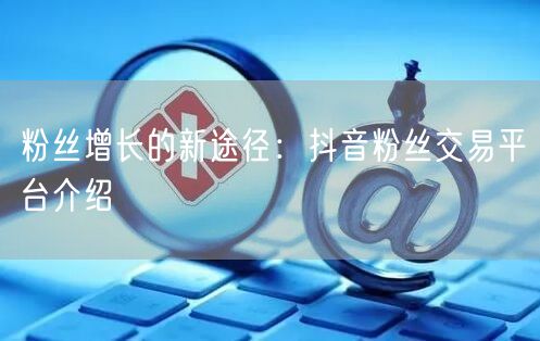 粉丝增长的新途径：抖音粉丝交易平台介绍
