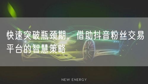 快速突破瓶颈期，借助抖音粉丝交易平台的智慧策略