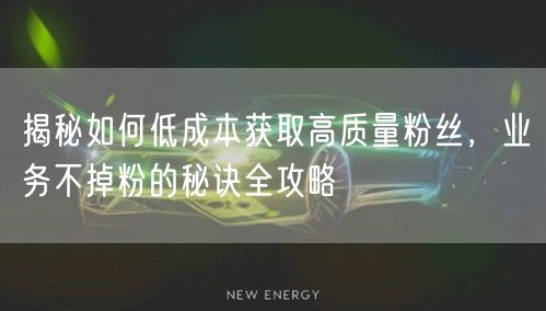 揭秘如何低成本获取高质量粉丝，业务不掉粉的秘诀全攻略