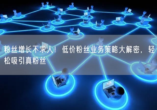 粉丝增长不求人！低价粉丝业务策略大解密，轻松吸引真粉丝