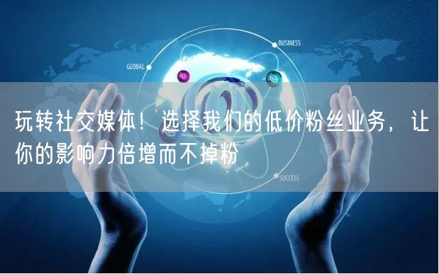 玩转社交媒体！选择我们的低价粉丝业务，让你的影响力倍增而不掉粉