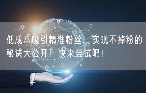 低成本吸引精准粉丝，实现不掉粉的秘诀大公开！快来尝试吧！