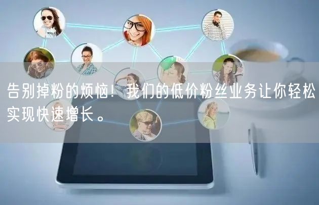 告别掉粉的烦恼！我们的低价粉丝业务让你轻松实现快速增长。