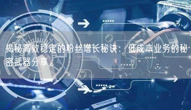 揭秘高效稳定的粉丝增长秘诀：低成本业务的秘密武器分享。