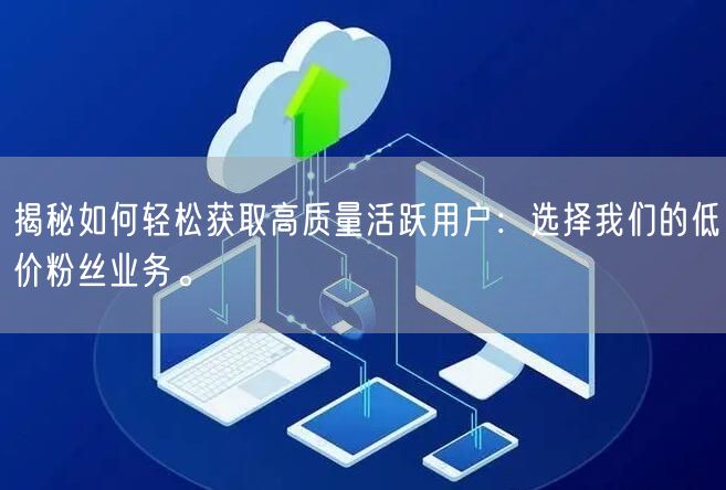 揭秘如何轻松获取高质量活跃用户：选择我们的低价粉丝业务。