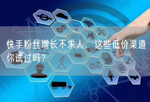 快手粉丝增长不求人，这些低价渠道你试过吗？