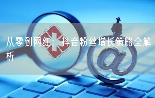 从零到网红:抖音粉丝增长策略全解析