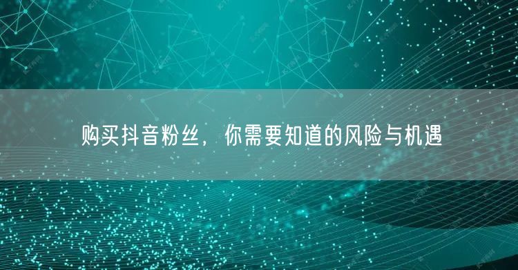 购买抖音粉丝,你需要知道的风险与机遇