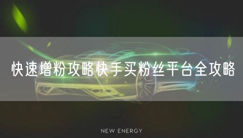 快速增粉攻略快手买粉丝平台全攻略