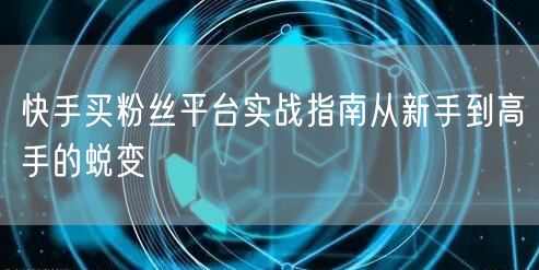 快手买粉丝平台实战指南从新手到高手的蜕变