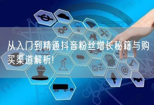 从入门到精通抖音粉丝增长秘籍与购买渠道解析!