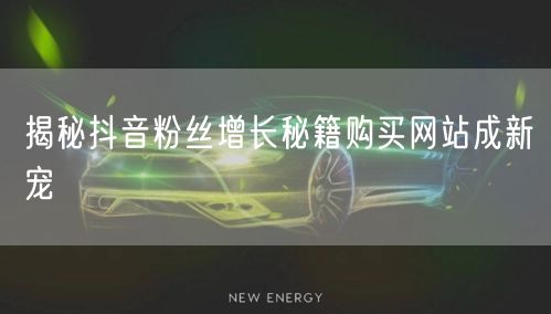 揭秘抖音粉丝增长秘籍购买网站成新宠