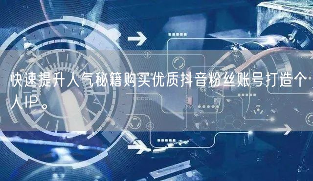 快速提升人气秘籍购买优质抖音粉丝账号打造个人IP。