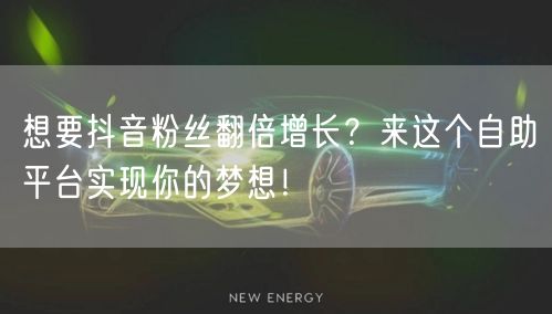 想要抖音粉丝翻倍增长?来这个自助平台实现你的梦想!