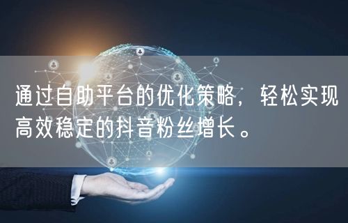 通过自助平台的优化策略，轻松实现高效稳定的抖音粉丝增长。