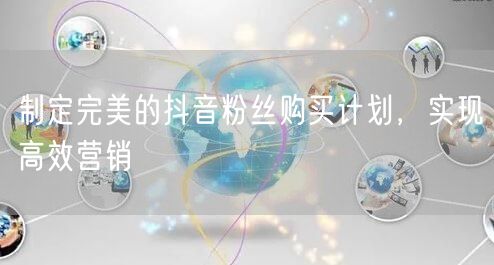 制定完美的抖音粉丝购买计划,实现高效营销