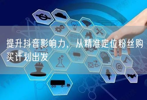 提升抖音影响力，从精准定位粉丝购买计划出发