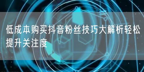 低成本购买抖音粉丝技巧大解析轻松提升关注度