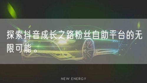 探索抖音成长之路粉丝自助平台的无限可能。