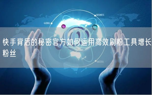 快手背后的秘密官方如何运用高效刷粉工具增长粉丝