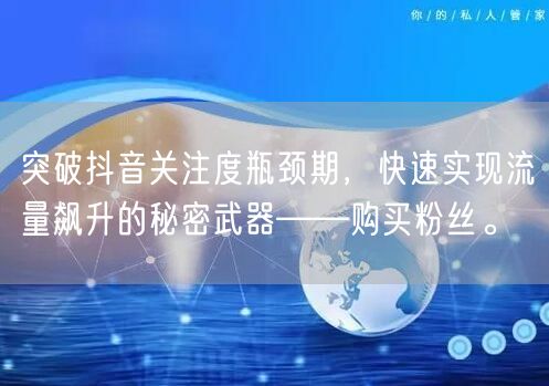 突破抖音关注度瓶颈期,快速实现流量飙升的秘密武器——购买粉丝。