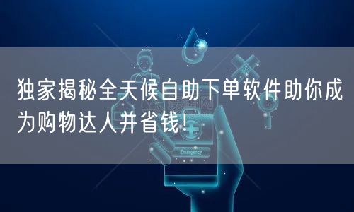 独家揭秘全天候自助下单软件助你成为购物达人并省钱!