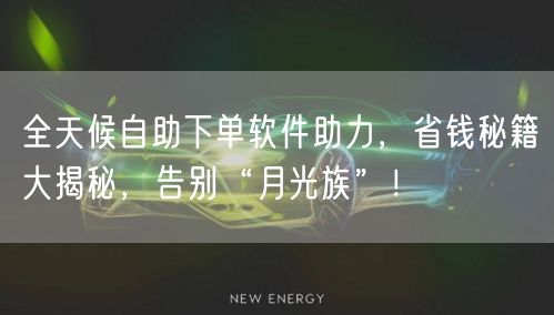 全天候自助下单软件助力,省钱秘籍大揭秘,告别“月光族”!