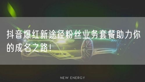 抖音爆红新途径粉丝业务套餐助力你的成名之路!
