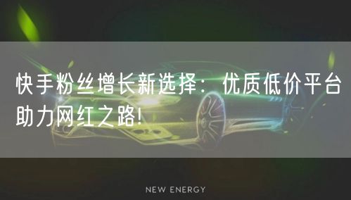 快手粉丝增长新选择:优质低价平台助力网红之路!