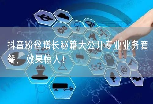 抖音粉丝增长秘籍大公开专业业务套餐,效果惊人!