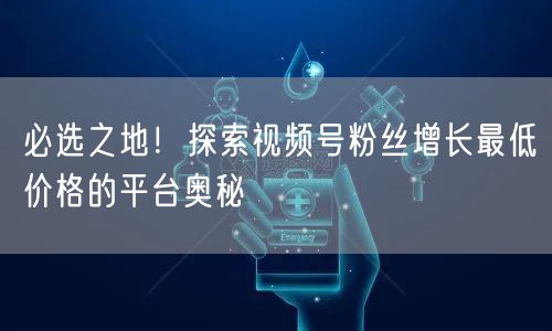 必选之地!探索视频号粉丝增长最低价格的平台奥秘