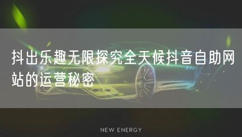 抖出乐趣无限探究全天候抖音自助网站的运营秘密