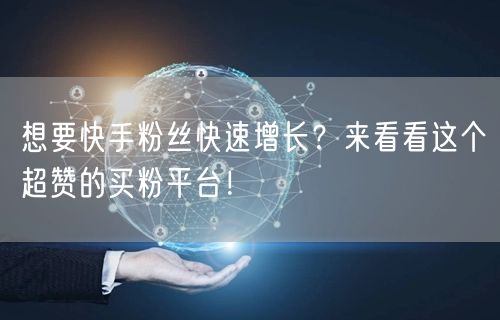 想要快手粉丝快速增长？来看看这个超赞的买粉平台！