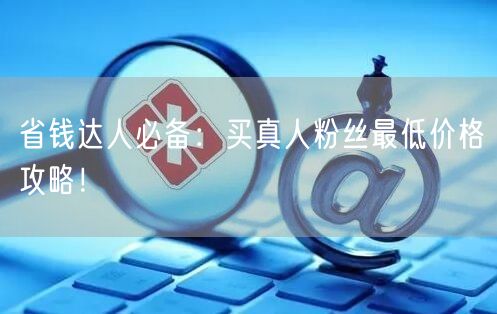 省钱达人必备：买真人粉丝最低价格攻略！