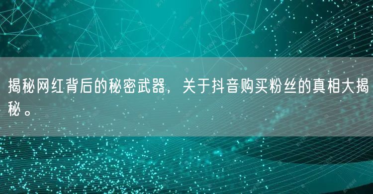 揭秘网红背后的秘密武器,关于抖音购买粉丝的真相大揭秘。