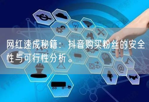 网红速成秘籍：抖音购买粉丝的安全性与可行性分析。