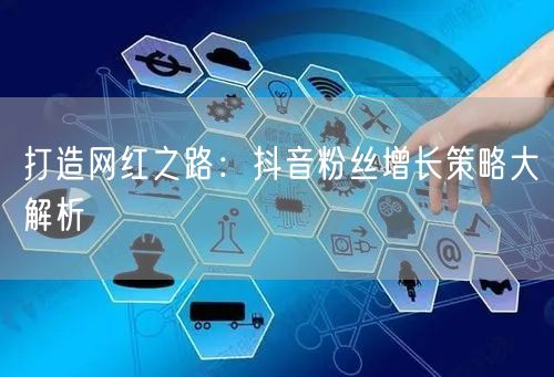 打造网红之路：抖音粉丝增长策略大解析