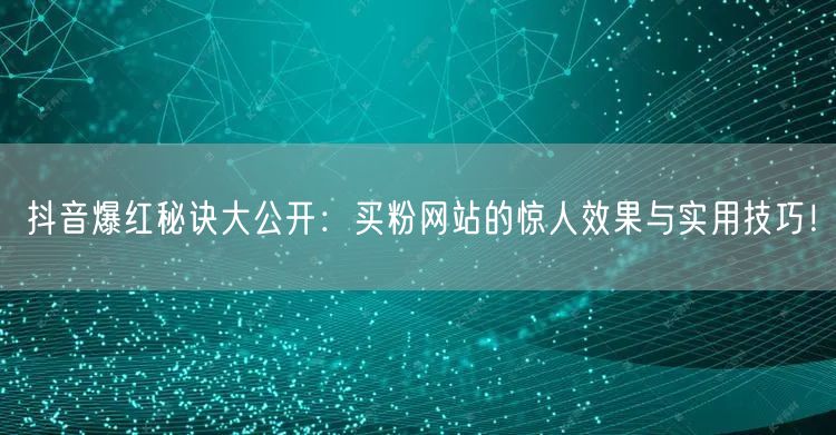 抖音爆红秘诀大公开：买粉网站的惊人效果与实用技巧！